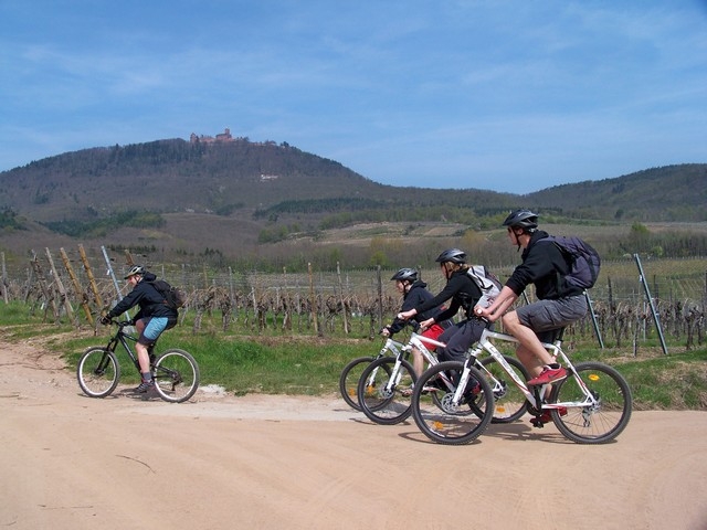  Mountain Bike Outing na Alsácia 